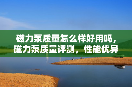 磁力泵质量怎么样好用吗，磁力泵质量评测，性能优异，好用且可靠