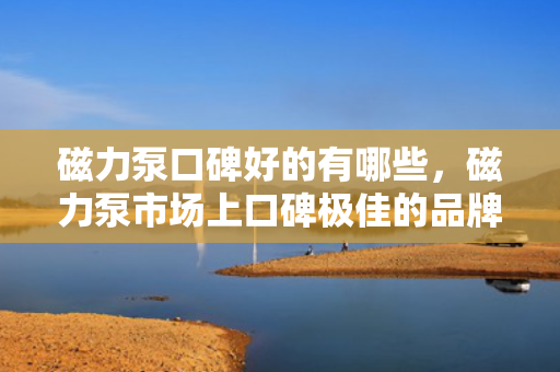 磁力泵口碑好的有哪些，磁力泵市场上口碑极佳的品牌推荐