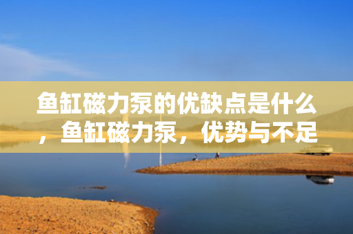 鱼缸磁力泵的优缺点是什么，鱼缸磁力泵，优势与不足全解析