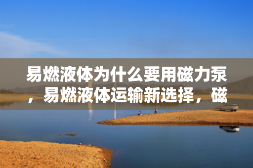 易燃液体为什么要用磁力泵，易燃液体运输新选择，磁力泵的应用与安全性解析