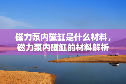 磁力泵内磁缸是什么材料，磁力泵内磁缸的材料解析