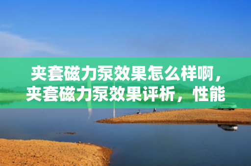 夹套磁力泵效果怎么样啊，夹套磁力泵效果评析，性能与优势一览