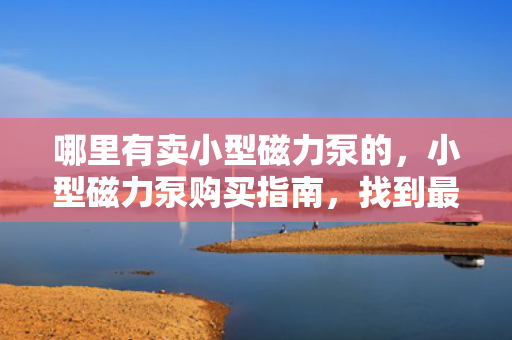 哪里有卖小型磁力泵的，小型磁力泵购买指南，找到最适合你的磁力泵销售点