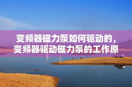 变频器磁力泵如何驱动的，变频器驱动磁力泵的工作原理与实现方式