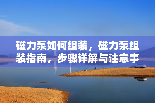 磁力泵如何组装，磁力泵组装指南，步骤详解与注意事项