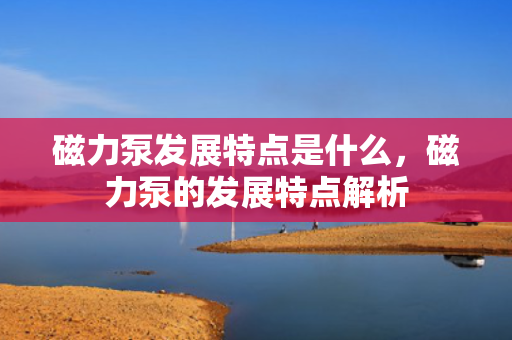 磁力泵发展特点是什么，磁力泵的发展特点解析