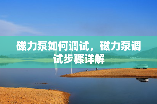 磁力泵如何调试，磁力泵调试步骤详解