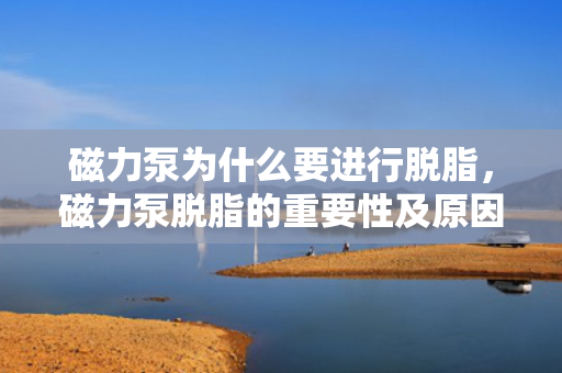 磁力泵为什么要进行脱脂，磁力泵脱脂的重要性及原因解析