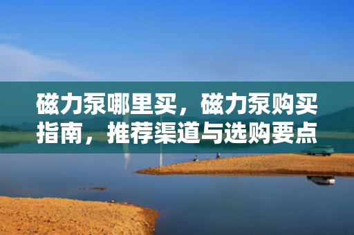 磁力泵哪里买，磁力泵购买指南，推荐渠道与选购要点