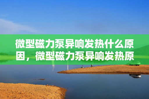 微型磁力泵异响发热什么原因，微型磁力泵异响发热原因解析