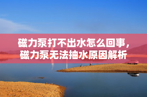 磁力泵打不出水怎么回事，磁力泵无法抽水原因解析