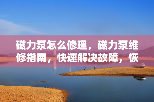 磁力泵怎么修理，磁力泵维修指南，快速解决故障，恢复设备正常运行