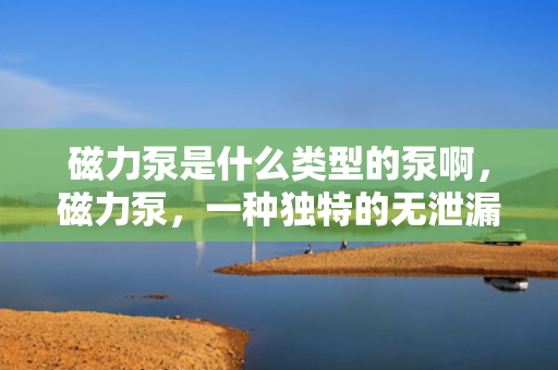 磁力泵是什么类型的泵啊，磁力泵，一种独特的无泄漏泵类型解析