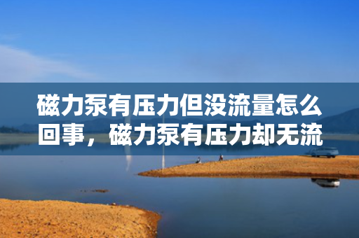 磁力泵有压力但没流量怎么回事，磁力泵有压力却无流量，可能的原因与解决方案