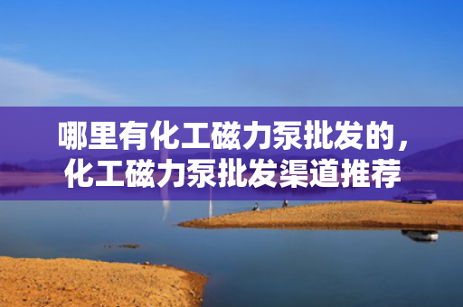 哪里有化工磁力泵批发的，化工磁力泵批发渠道推荐