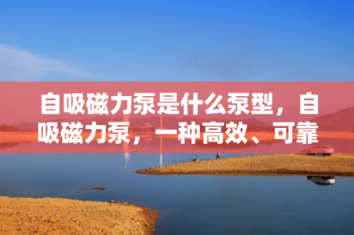 自吸磁力泵是什么泵型，自吸磁力泵，一种高效、可靠的泵型介绍