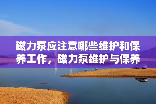 磁力泵应注意哪些维护和保养工作，磁力泵维护与保养要点