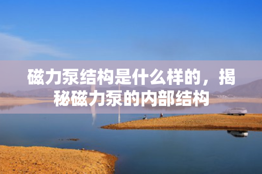 磁力泵结构是什么样的，揭秘磁力泵的内部结构