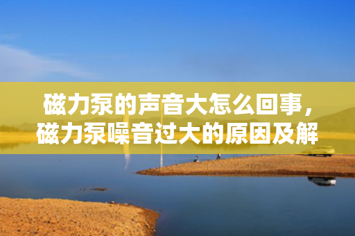 磁力泵的声音大怎么回事，磁力泵噪音过大的原因及解决方法