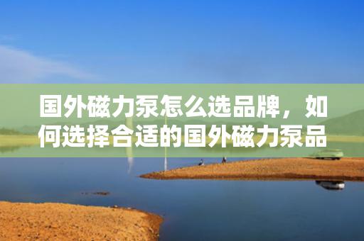 国外磁力泵怎么选品牌，如何选择合适的国外磁力泵品牌