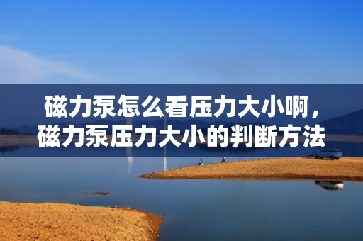 磁力泵怎么看压力大小啊，磁力泵压力大小的判断方法与技巧