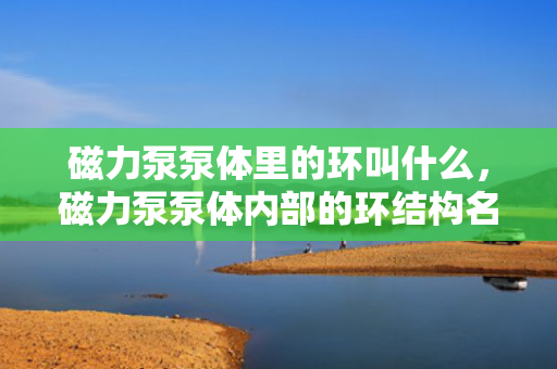 磁力泵泵体里的环叫什么，磁力泵泵体内部的环结构名称解析