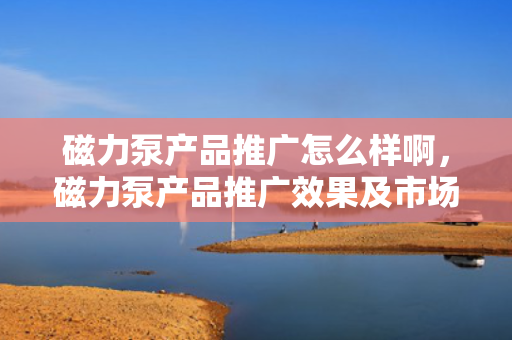 磁力泵产品推广怎么样啊，磁力泵产品推广效果及市场前景分析