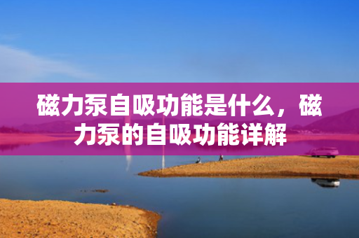 磁力泵自吸功能是什么，磁力泵的自吸功能详解