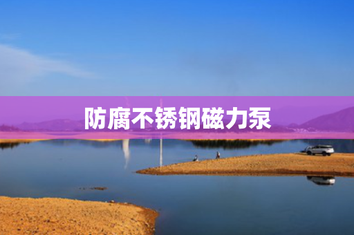 防腐不锈钢磁力泵