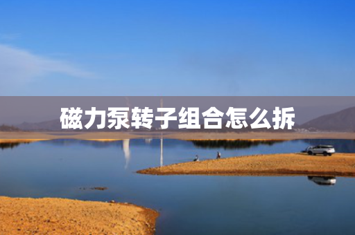 磁力泵转子组合怎么拆 磁力泵转子组合怎么拆