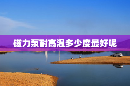 磁力泵耐高温多少度最好呢 磁力泵耐高温多少度最好呢