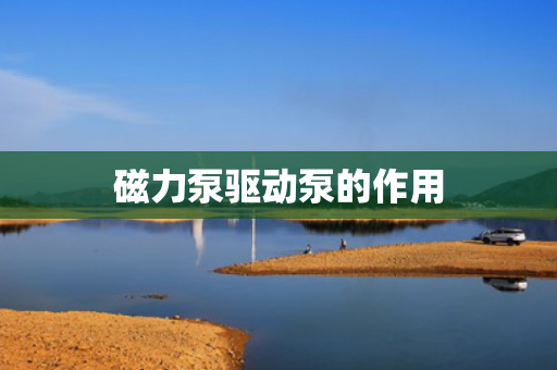 磁力泵驱动泵的作用