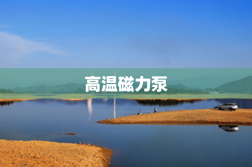 高温磁力泵 高温磁力泵