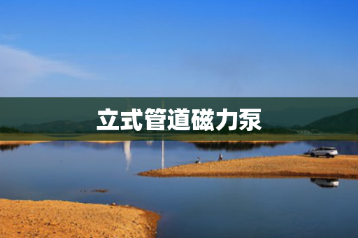 立式管道磁力泵