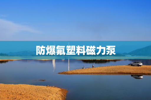 防爆氟塑料磁力泵