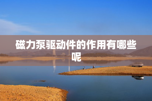 磁力泵驱动件的作用有哪些呢