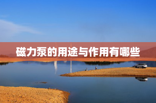 磁力泵的用途与作用有哪些 磁力泵的用途与作用有哪些