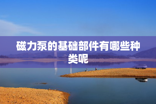 磁力泵的基础部件有哪些种类呢 磁力泵的基础部件有哪些种类呢