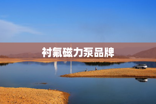 衬氟磁力泵品牌