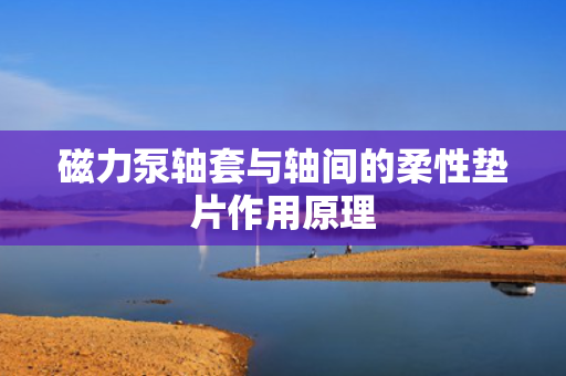 磁力泵轴套与轴间的柔性垫片作用原理