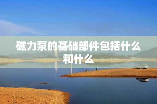 磁力泵的基础部件包括什么和什么