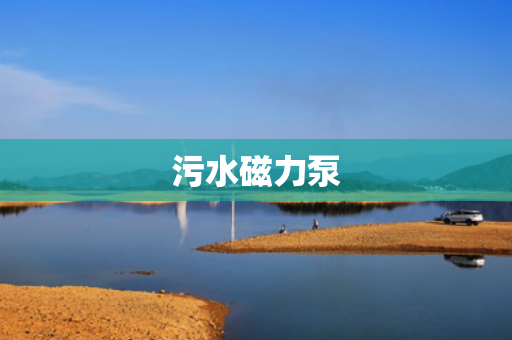 污水磁力泵 污水磁力泵