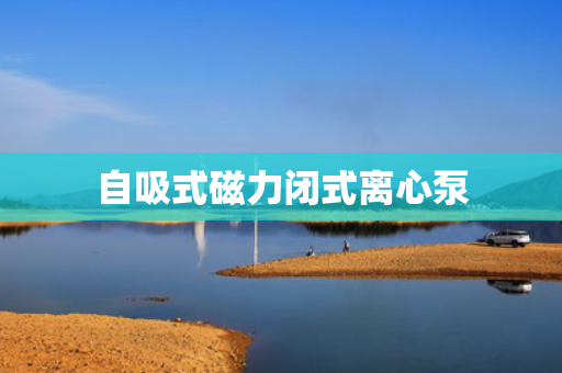 自吸式磁力闭式离心泵 自吸式磁力闭式离心泵