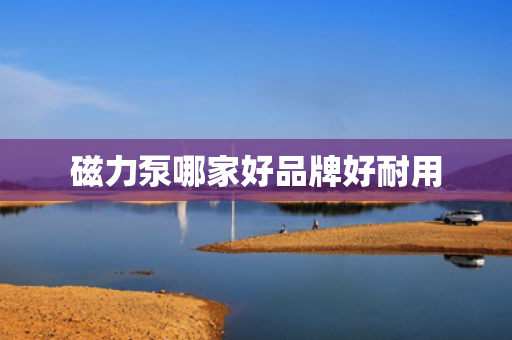 磁力泵哪家好品牌好耐用 磁力泵哪家好品牌好耐用