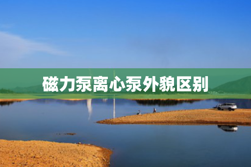 磁力泵离心泵外貌区别