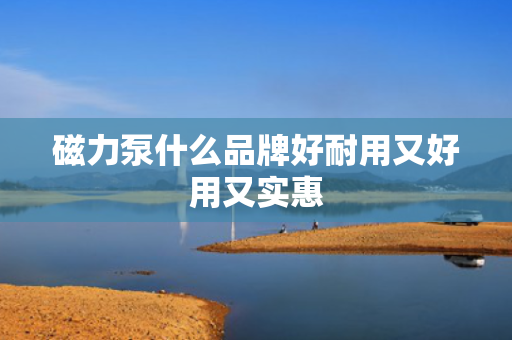 磁力泵什么品牌好耐用又好用又实惠 磁力泵什么品牌好耐用又好用又实惠