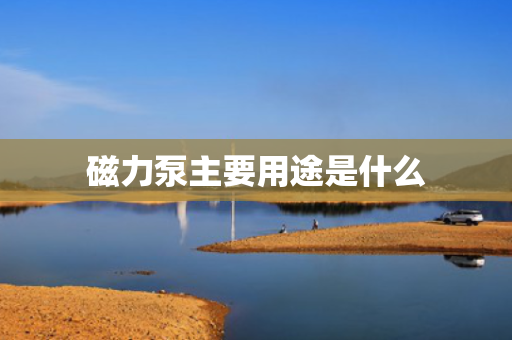 磁力泵主要用途是什么