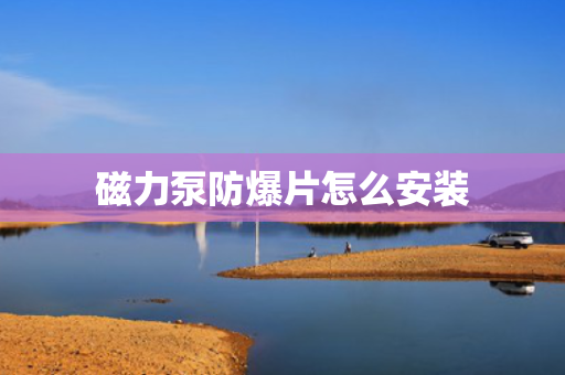 磁力泵防爆片怎么安装