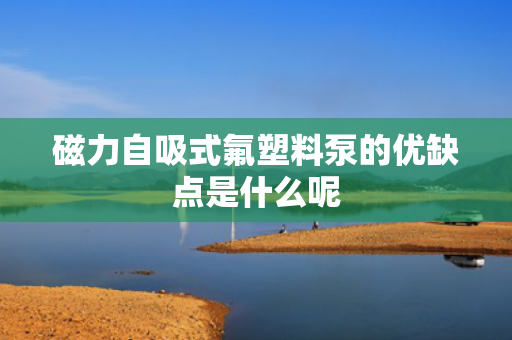 磁力自吸式氟塑料泵的优缺点是什么呢