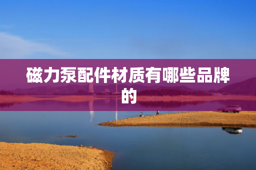 磁力泵配件材质有哪些品牌的